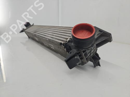 Intercooler CITROËN JUMPER I Van (244) | BP39201177M30 - Image 2
