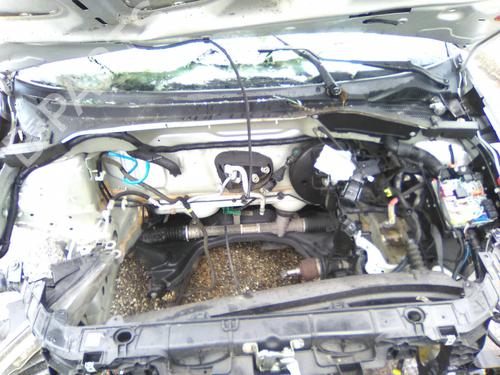 Engine mount FIAT GRANDE PUNTO (199_) 1.2 | BP19873841M89