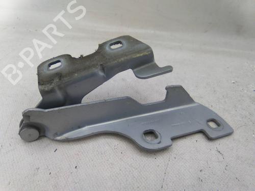 Used Hinge/Door check strap RENAULT CLIO II (BB_, CB_) 1.2 16V (BB05, BB0W, BB11, BB27, BB2T, BB2U, BB2V, CB05,... (75 hp) 31255761