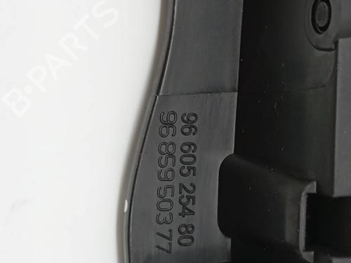 Rear left interior door handle CITROËN C4 II (NC_) 1.6 HDi 115 | BP31051999I15