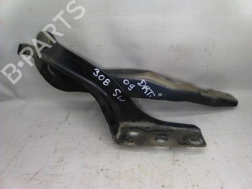 Used Hinge/Door check strap PEUGEOT 308 SW I Estate Van (4E_) 1.6 HDi (90 hp) 19811649