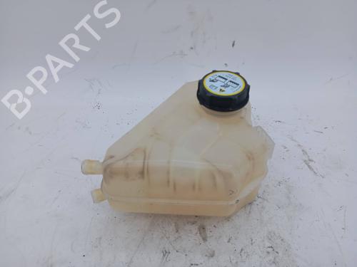 Used Expansion tank FORD FIESTA VI (CB1, CCN) 1.25 (60 hp) 22533971