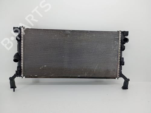 Used Water radiator RENAULT LAGUNA III (BT0/1) 2.0 dCi (BT07, BT0J, BT14, BT1A, BT1S) (131 hp) 30704259