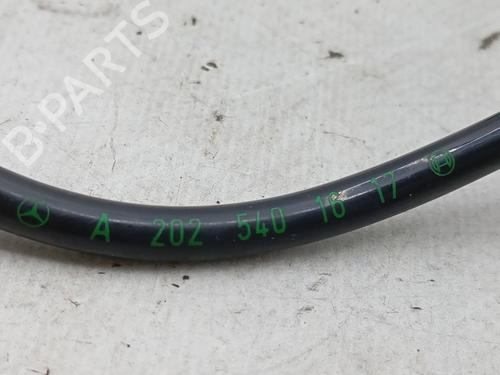 Electronic module MERCEDES-BENZ C-CLASS (W202) C 220 D (202.121) | BP31256493M83