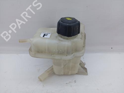 Used Expansion tank NISSAN QASHQAI I (J10, NJ10) 1.5 dCi (106 hp) 31256181