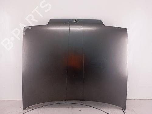 Used Hood Hood RENAULT 19 I (B/C53_) 1.2 (54 hp) 34159115 34159115