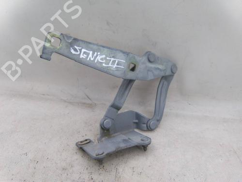 Used Hinge/Door check strap RENAULT SCÉNIC II (JM0/1_) 1.5 dCi (JM0F) (82 hp) 31255969