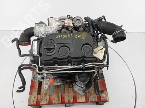 Motor VW GOLF V (1K1) 2.0 TDI | BP30915341M1