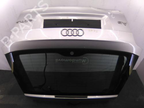 Bakluke CC/Kombi-Kupé AUDI A3 (8P1) 2.0 TDI | BP19846000C6 