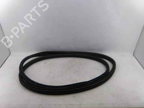 Gummiliste Gummiliste BMW 3 (F30, F80) 320 d (163 hp) 19842975 19842975