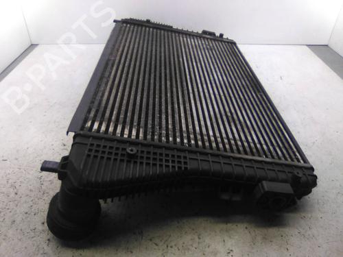 Intercooler SKODA OCTAVIA II Combi (1Z5) 1.9 TDI | BP19838377M30 