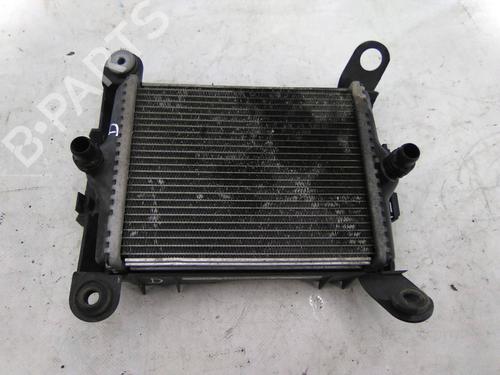 Used Water radiator BMW 2 Coupe (F22, F87) 220 i (184 hp) 19831279
