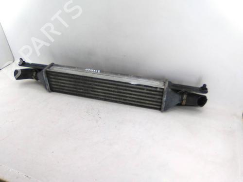 Used Intercooler FIAT GRANDE PUNTO (199_) 1.3 D Multijet (75 hp) 29307093