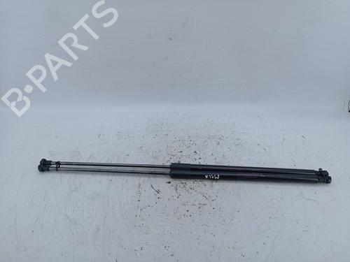 Used Tailgate lift support NISSAN JUKE (F15) 1.5 dCi (110 hp) 19842381