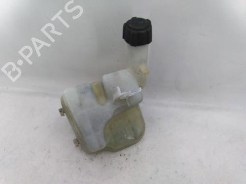 Used Expansion tank RENAULT LAGUNA II (BG0/1_) 1.9 dCi (BG0R, BG0E) (100 hp) 31255493