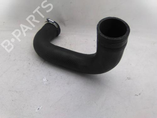 Pipe RENAULT ESPACE IV (JK0/1_) 2.2 dCi (JK0H) | BP31255571M125
