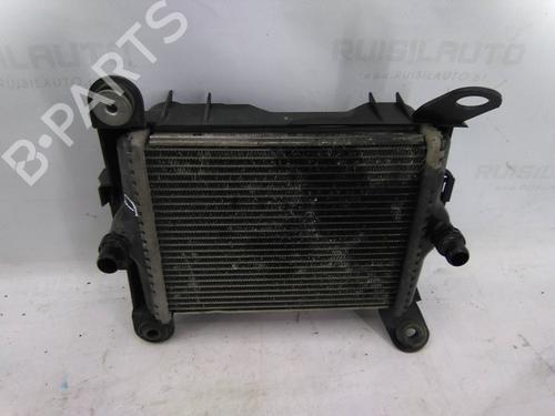 Water radiator BMW 2 Coupe (F22, F87) 220 i | BP19831279M31 