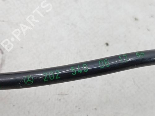 Electronic module MERCEDES-BENZ C-CLASS (W202) C 220 D (202.121) | BP31256497M83