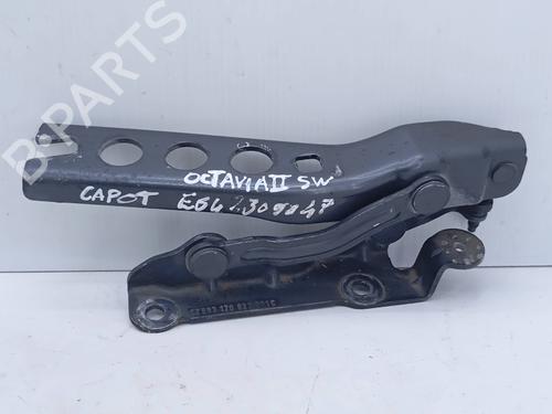 Used Hinge/Door check strap SKODA OCTAVIA II Combi (1Z5) 1.9 TDI (105 hp) 31255648