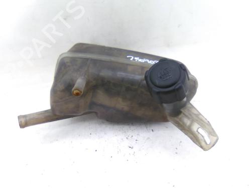 Used Expansion tank RENAULT MEGANE II Saloon (LM0/1_) 1.9 dCi (LM0G, LM1G, LM2C) (120 hp) 31256242