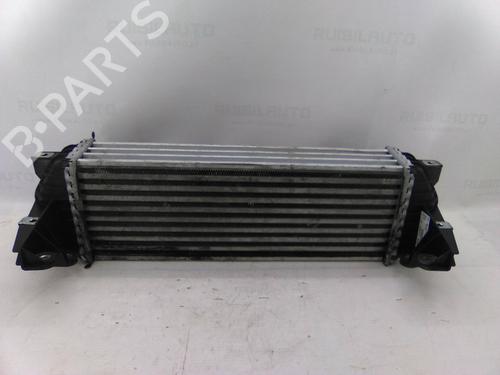 Used Intercooler FORD TOURNEO CONNECT 1.8 TDCi (90 hp) 19873987