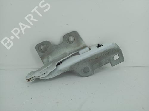 Used Hinge/Door check strap RENAULT CLIO II (BB_, CB_) 1.5 dCi (B/CB03) (80 hp) 31667973