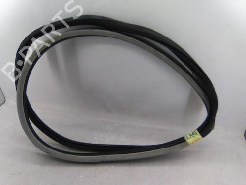 Used Rubber door seal RENAULT LAGUNA III (BT0/1) 2.0 dCi (BT07, BT0J, BT14, BT1A, BT1S) (131 hp) 30488091