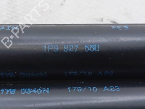 Tailgate lift support SEAT LEON (1P1) 1.6 TDI | BP27836010C138