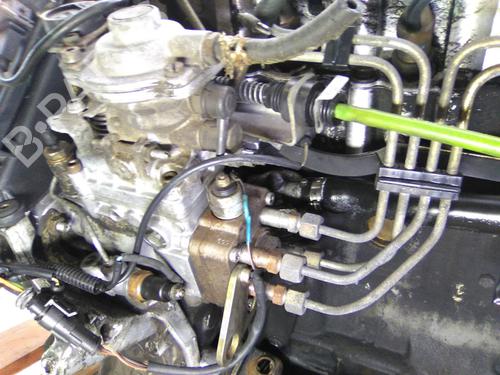 Engine FIAT PUNTO (176_) 1.7 TD | BP28494518M1 