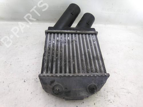 Intercooler RENAULT SCÉNIC I MPV (JA0/1_, FA0_) 1.9 dCi (JA05, JA1F) | BP19860005M30 