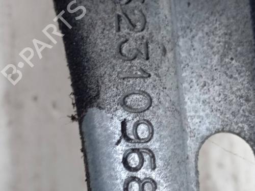 Alzavetro posteriore destra PEUGEOT 206 Hatchback (2A/C) 1.4 HDi eco 70 | BP29751382C25 
