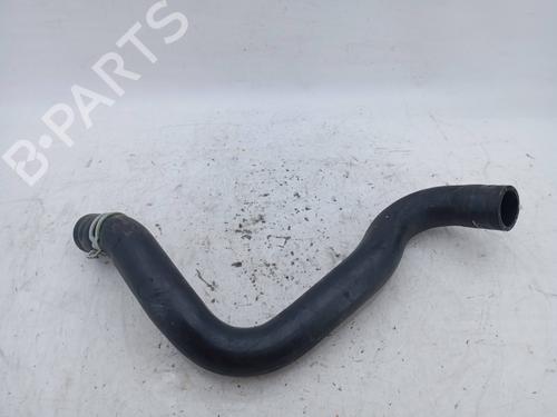 Used Cable NISSAN JUKE (F15) 1.5 dCi (110 hp) 19842511