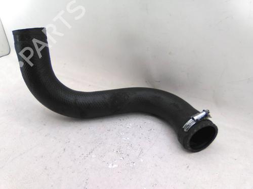 Used Pipe RENAULT ESPACE IV (JK0/1_) 2.2 dCi (JK0H) (150 hp) 31255571