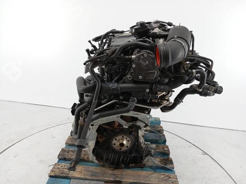 Engine VW GOLF V (1K1) 1.9 TDI | BP31934184M1