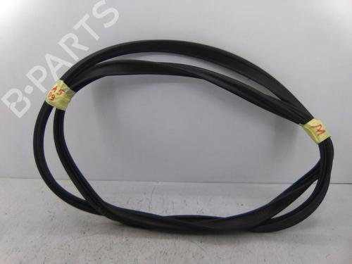 Used Rubber door seal AUDI A5 Sportback (8TA) 2.7 TDI (190 hp) 19839432