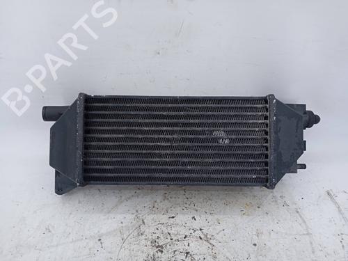 Intercooler LAND ROVER FREELANDER I (L314) 2.0 DI 4x4 | BP19825928M30 