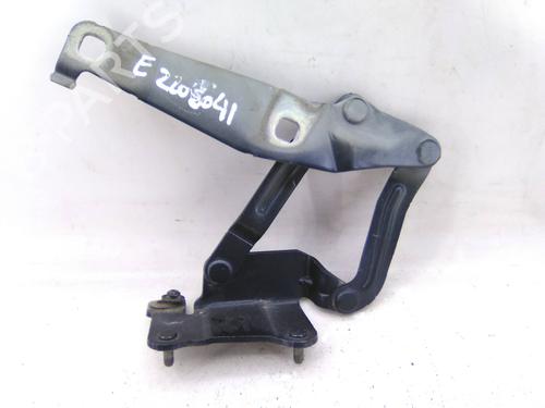 Used Hinge/Door check strap RENAULT SCÉNIC II (JM0/1_) 1.5 dCi (JM1E, JM16) (106 hp) 31255521
