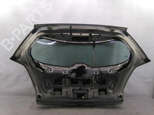 Tailgate RENAULT MEGANE II (BM0/1_, CM0/1_) 1.5 dCi (BM0F, BM0T, BM2B, CM0F, CM0T) | BP19844416C6 