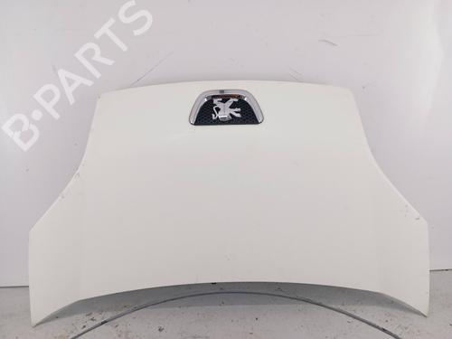 Used Hood Hood PEUGEOT BIPPER (AA_) 1.4 HDi (68 hp) 34159103 34159103