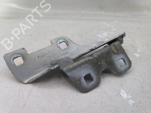 Used Hinge/Door check strap RENAULT CLIO II (BB_, CB_) 1.5 dCi (B/C2J) (68 hp) 31255716