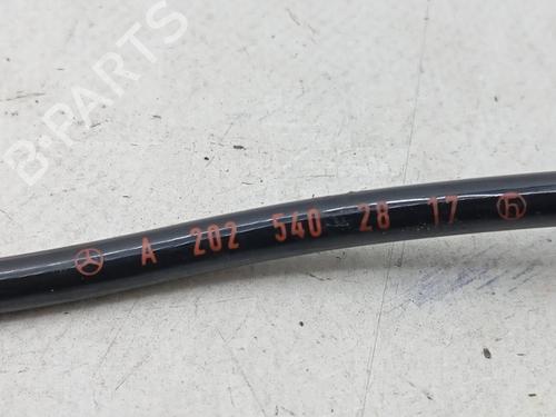 Electronic module MERCEDES-BENZ C-CLASS (W202) C 220 (202.022) | BP31256487M83