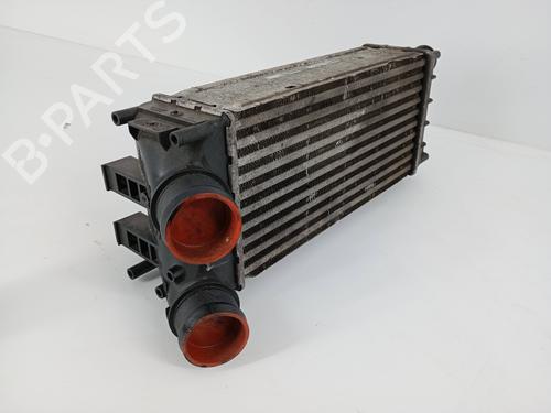 Intercooler PEUGEOT PARTNER Box Body/MPV 1.6 HDi | BP31117436M30 - Image 2