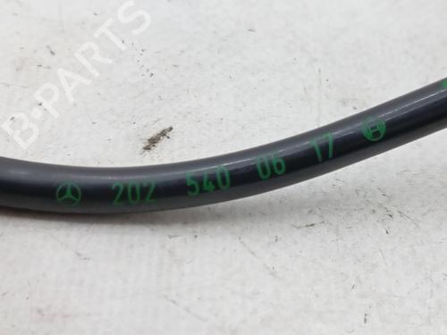 Electronic module MERCEDES-BENZ C-CLASS (W202) C 220 D (202.121) | BP31256494M83