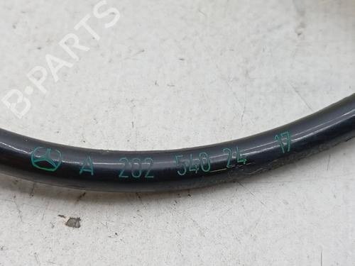 Electronic module MERCEDES-BENZ C-CLASS (W202) C 220 D (202.121) | BP31256384M83