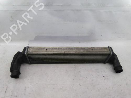 Intercooler BMW 3 (E46) 320 d | BP19813436M30 