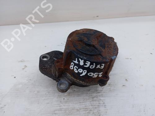 Used Brake master cylinder PEUGEOT EXPERT Platform/Chassis (223) 2.0 HDi (94 hp) 31256202