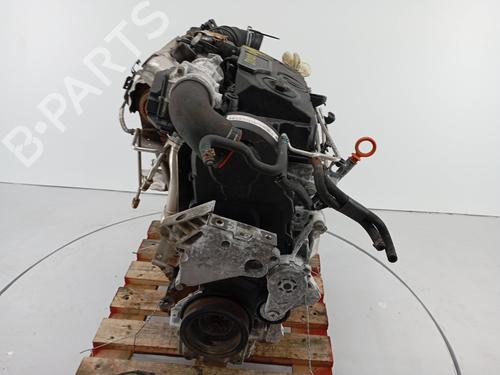 Motor VW GOLF V (1K1) 2.0 TDI | BP30915341M1
