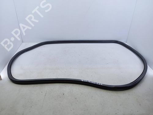 Used Rubber door seal SEAT IBIZA IV (6J5, 6P1) 1.4 (85 hp) 30079164