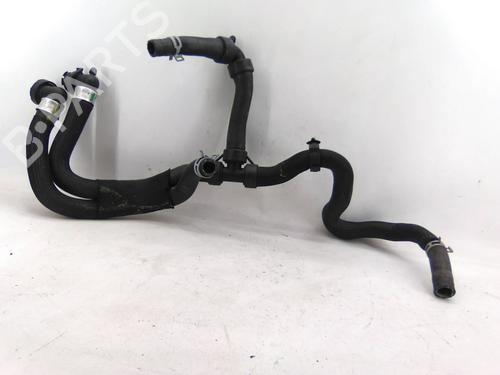 Used Cable RENAULT KANGOO Express (FW0/1_) 1.5 dCi 90 (FW0G, FW05, FW08, FW11) (90 hp) 31256208