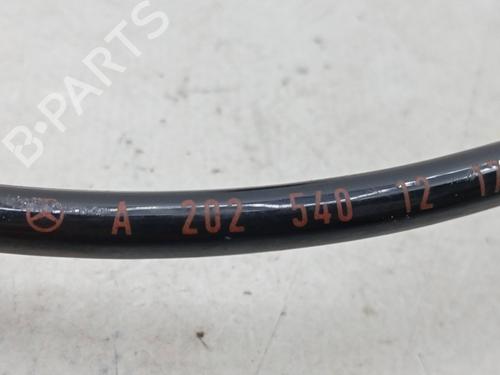 Electronic module MERCEDES-BENZ C-CLASS (W202) C 220 D (202.121) | BP31256495M83